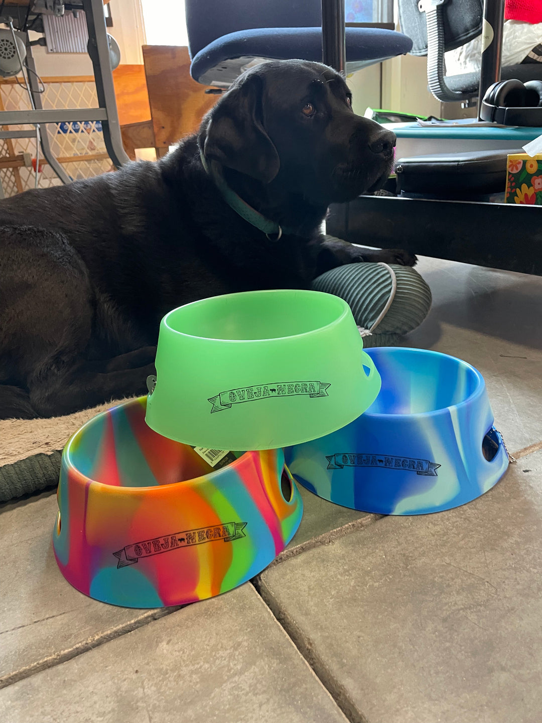 Silipints™ Dog Bowl - Hippie Hops