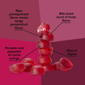 Honey Stinger Energy Chews Box of 12