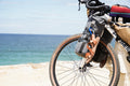 Buoy Bag - Durable Bikepacking Fork Bag: 7.75L