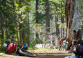 Jumbo Jammer Handlebar Bag: 17L