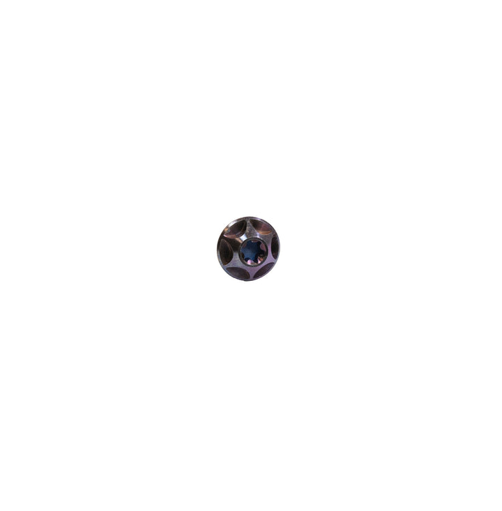 Titanium Cage Bolts (pack of 4) - Royal Purple