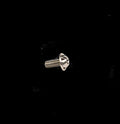 Titanium Cage Bolts (pack of 4)