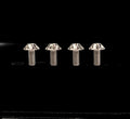Titanium Cage Bolts (pack of 4)