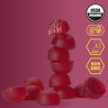 Honey Stinger Energy Chews Box of 12